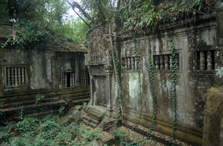 Ivy on the Wall at Beng Mealea