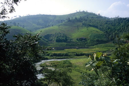 Vietnamese Vista