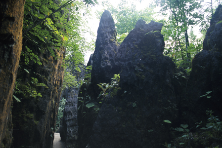 Sapa Garden