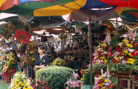 Flowers in Phnom Penh