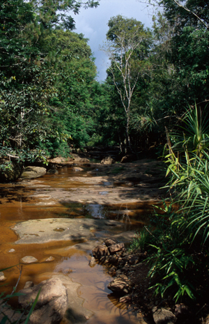 Kirirom River