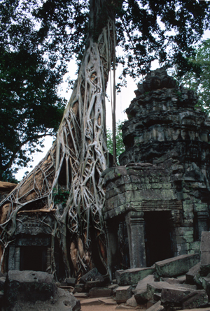 Classic Ta Phrom