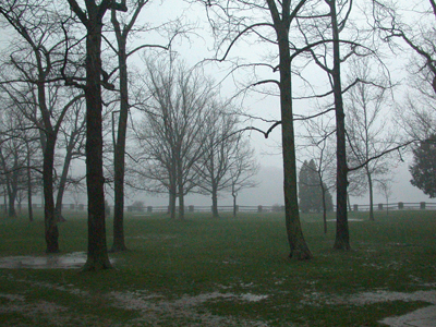 Niagara Glen Storm