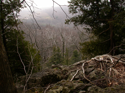 Buffalo Crag View