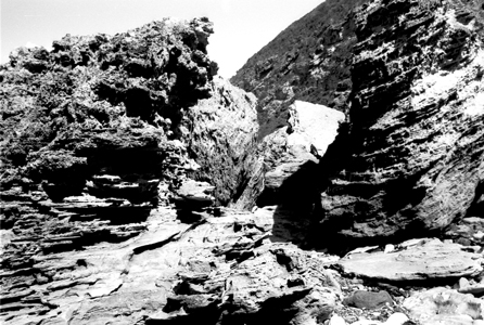 Australia Beach Rocks