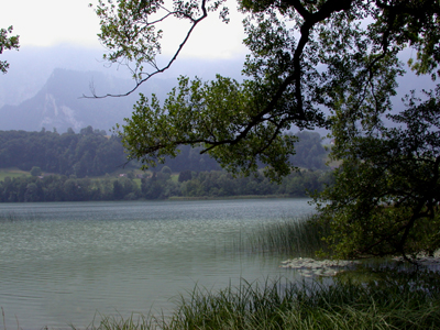 View of Lake and Mountains