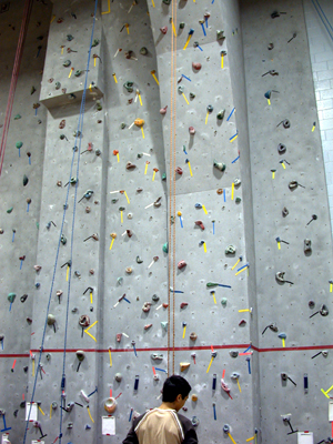 RMC rock wall