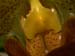 Paph06
